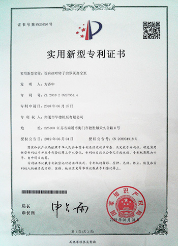 設有扭葉轉子的羅茨真空泵